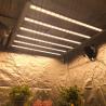 China Alta eficiencia 450W Estructura plegable y pleno espectro ajustable de plantas de luz de crecimiento wholesale