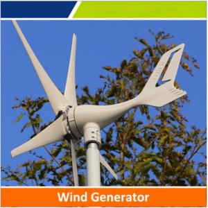 China 50w de alta calidad a la turbina de viento 1kw con el precio barato para la venta caliente supplier