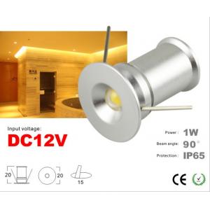 China DC12V Waterproof IP65 recessed Mini LED light 1W Spotlight  Ceilling light supplier