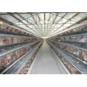 China Collecting Egg Livestock Farming Equipment Automatic Poultry Farm Equipment supplier