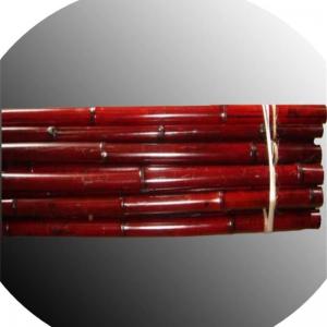 Anti Mould Painted Bamboo Stakes Colourful Plant Tonkin Carbonized 250cm