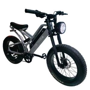 China Electronic Fat Tyres Electric Bike 20 Inch Fat Tire 500w Ebike 48v with Smart Type supplier