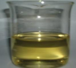 óleo essencial dos alecrins