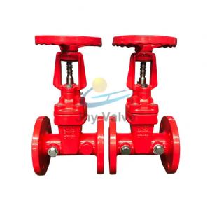 ANSI Rising Stem Gate Valve Ductile Iron Red Resilient Seated Gate Valve