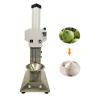 Automatic coconut husk remover /Coconut shell removing machine / Coconut shell peeling machine