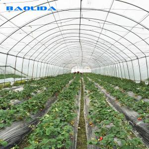 China Sheet Covering Shed Agricultural Single Span Plastic Tunnel Greenhouse supplier