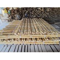 China 18mm To 160mm Diameter Bamboo Cane Moso Bamboo Pole Construction Agriculture on sale