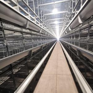 China Q235 Chicken Cages Poultry Farming Equipment 3-6mm Thickness supplier