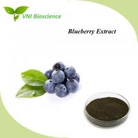 China Natural Blueberry Extract Powder Supplement Anti Aging Vaccinium Spp on sale