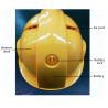 4G Smart Temperature Infrared Thermal Auto Temperature Helmet