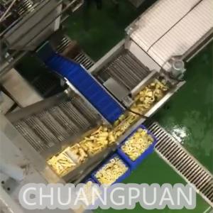 SS304 Pineapple Processing Line With CIP Cleaning System Coring Steps