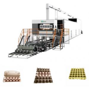 Moulded Apple Fruit Tray Making Machine Full Automatic Production Line