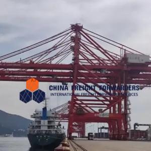 Global Carrier Freight Forwarder Logistics Ocean Shipping From China To UK