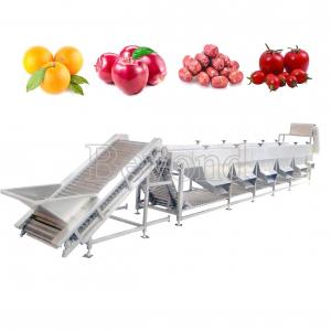 China Automatic Mango Washing Waxing Grading Machine For Fruit Processing supplier