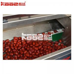 Fruits Washing Drying Equipment Dates Processing Machine For Industrial Use