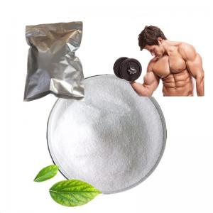 CAS 434-05-9 Bodybuilding Supplement Legal Injectable Steroids Methenolone Acetate Primobolone Powder
