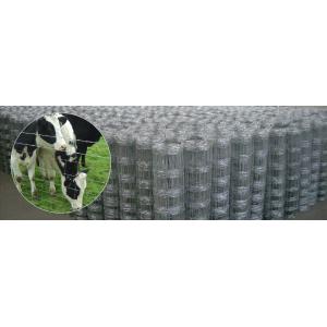 Galvanized Steel Wire Mesh Fence Animal 72 inch field fence Zoo Wild Fencing Roll
