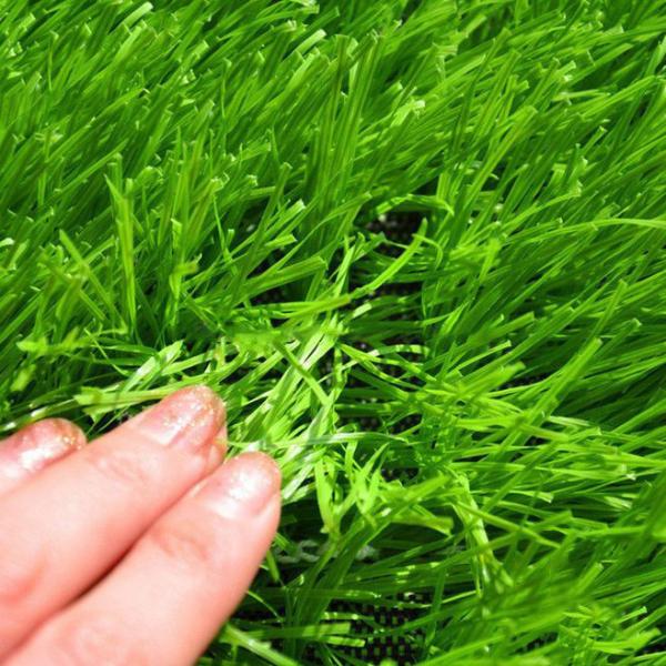 China SGS Approved Plastic 9000 Dtex Artificial Turf Grass Eco-Friendly wholesale