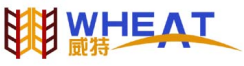 China Wheat Gluten Protein manufacturer