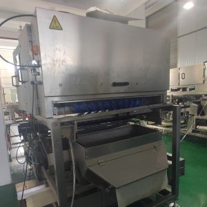 China Wolfberry Sorting Machine with Advanced Imaging and Spectroscopy Technology wholesale