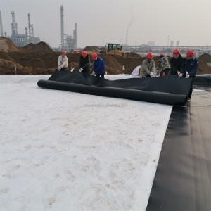 Plastic Fish Tank Geomembrane for Liner HDPE Material and Lobster Farming in Mine etc