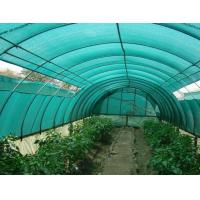 China HDPE Aschel Knitted Agriculture Shade Net For Greenhouse , 30gsm-300gsm on sale