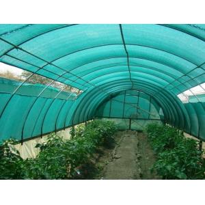 HDPE Aschel Knitted Agriculture Shade Net For Greenhouse , 30gsm-300gsm