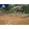 China High Simulated Realistic Dinosaur Fossil Life Size For Zoo Or Technology Center wholesale