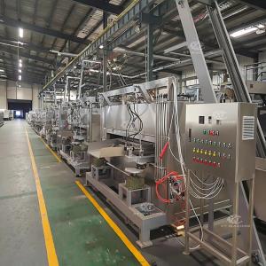 50-100kg/h Nut Swing Roaster Machine with PLC Control