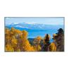 China 31.5" AUO Full HD LCD Module 500nits Brightness 50,000 Hours LED Life wholesale