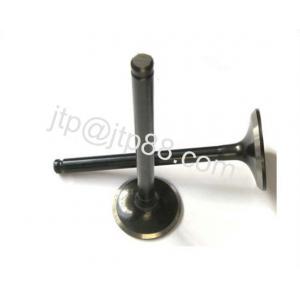 Teikuko 479Q Engine Valve For Chery Car / Inlet And Exhaust Valves