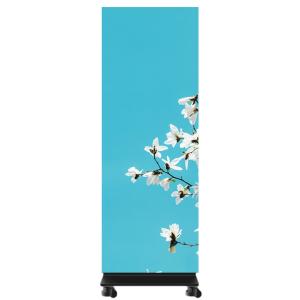 P0.7 LED Poster Display Cloud Control Wireless WiFi Network 1x6 For Exhibitions