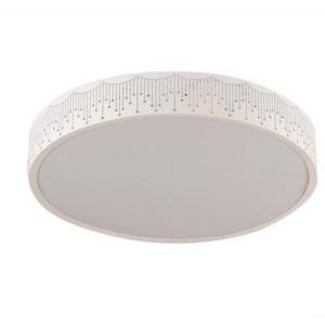 Round Simple Ceiling Lights Dimming Ceiling LED Lamps for Hotel