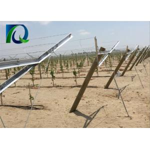 China High Strength Table Grape Trellis Systems , Galvanised Steel Vineyard Posts supplier