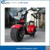 New customized 1000W citycoco 18*9.5 big two wheels electric scooter harley