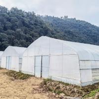 China Hot Galvanized Steel Frame Tropical Fruit Grow Greenhouse Commercial Greenhouses For Sale on sale