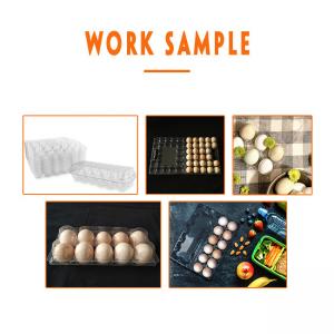 Pet Plastic Egg Tray Manufacturing Machine Vacuum Forming Packaging