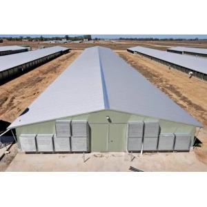 Prefabricated Metal Steel Poultry House Industry Steel Structure