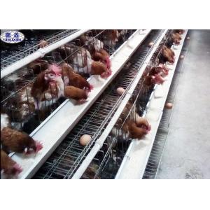 A Type Poultry Farm Cage Steel Frame Easy Installation 3 Years Warranty