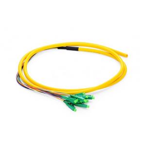 China LC APC Patch Cord 12 Fibers Pigtail Simplex For Optical Fiber Test Equipment supplier