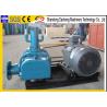 Low Noise Roots Vacuum Blower For Printing Machine -9.8 To -49 Kpa Pressure