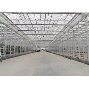 Green Plant Garden Tempered Glass Greenhouse For Large Ornamental Flowers