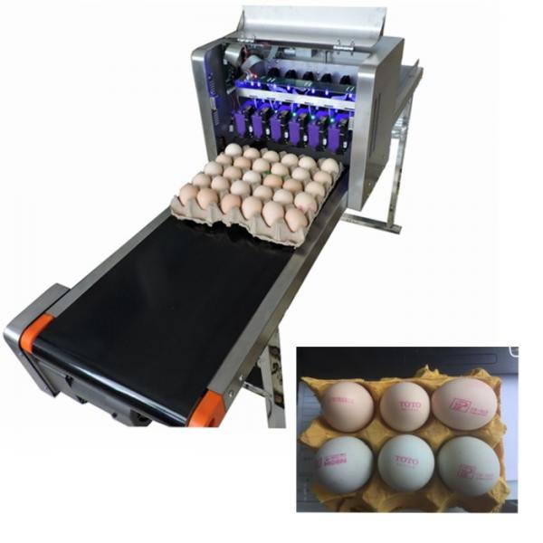 Electrical Egg Batch Number Printing Machine , Date And Batch Printing Machine