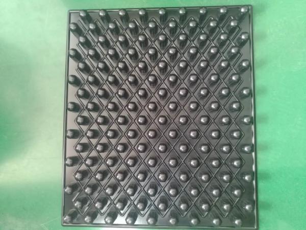 blister trays for seeding PS