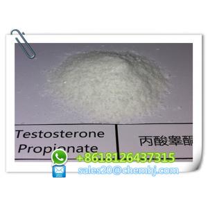 China Propionate CAS de testostérone de poudre d'hormone stéroïde de pureté de 99 % 57 - 85 - 2 pour le bodybuilding supplier