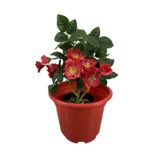 High quality colorful garden flower pots plastic flower planters for indoor outdoor plantings