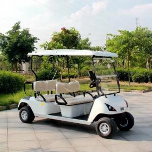 48V Electric Car Golf Cart  Passenger Electric Buggy Car Golf