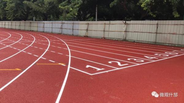 Dark Red Color Sandwiched Athletics Running Track With 19mm Thickness IAAF