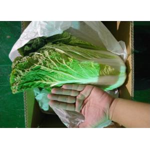 China Healthy Organic Chinese Cabbage Japan Standard Big Size Own Bases supplier