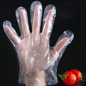China PE Disposable Cooking Gloves / Food Grade Powder Free Vinyl Gloves supplier